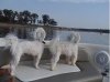 puppies on boat.jpg