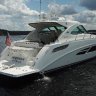 searay multiple owner